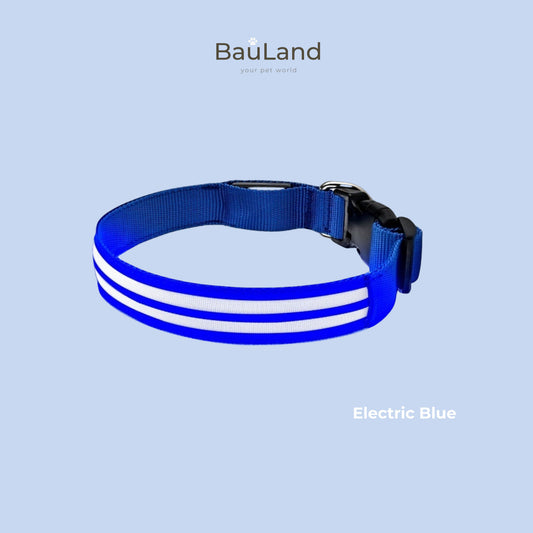 Collare LED Luminoso per Cani